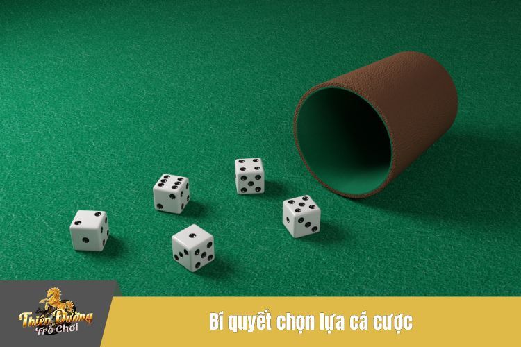 Bí quyết chọn lựa cá cược