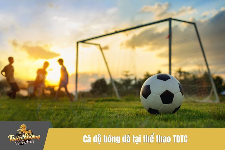 Cá độ bóng đá tại thể thao TDTC