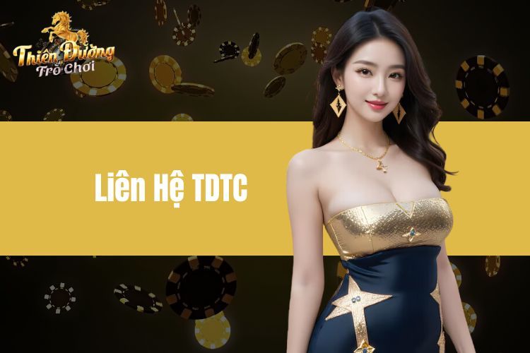 Liên Hệ TDTC - Liên Hệ Hỗ Trợ Chuyên Nghiệp Ở Hệ Thống TDTC