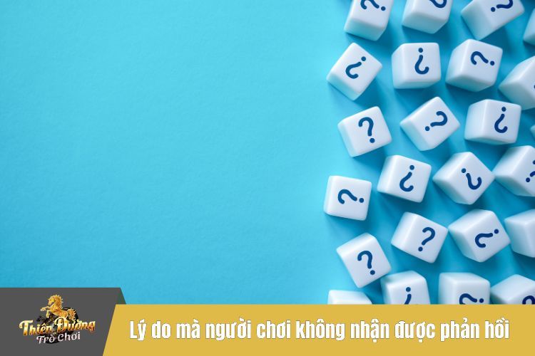 Lý do mà người chơi không nhận được phản hồi khi liên hệ TDTC