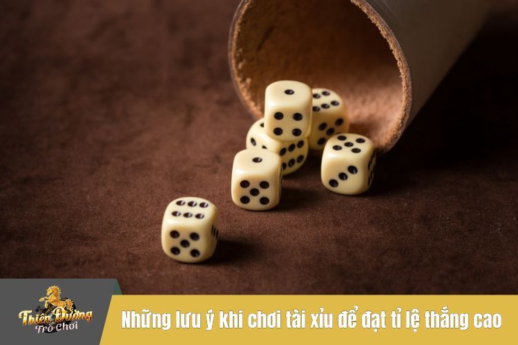 Những lưu ý khi chơi tài xỉu để đạt tỉ lệ thắng cao