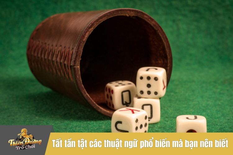 Tất tần tật các thuật ngữ phổ biến mà bạn nên biết